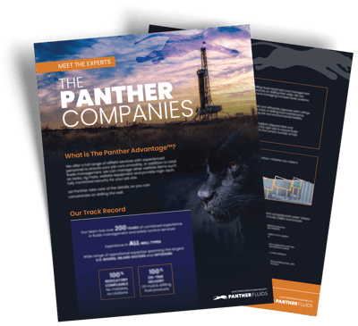 PANTHER-MeetPantherFlyer-2PageTHUMB(2025)